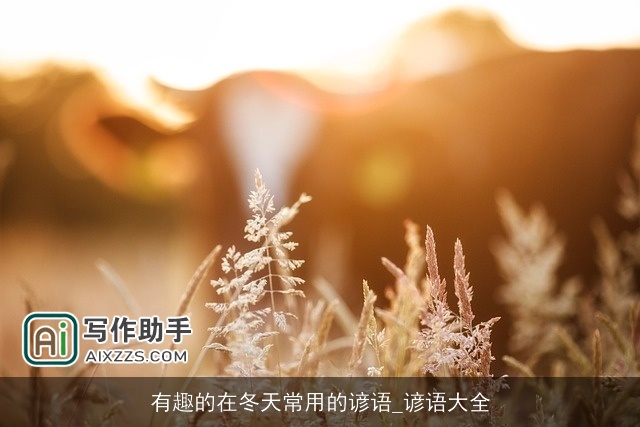 有趣的在冬天常用的谚语_谚语大全 有趣的在冬天常用的谚语_谚语大全