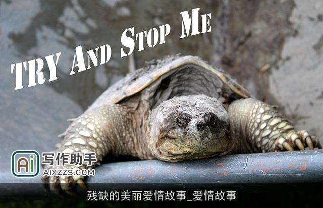 残缺的美丽爱情故事_爱情故事 残缺的美丽爱情故事_爱情故事