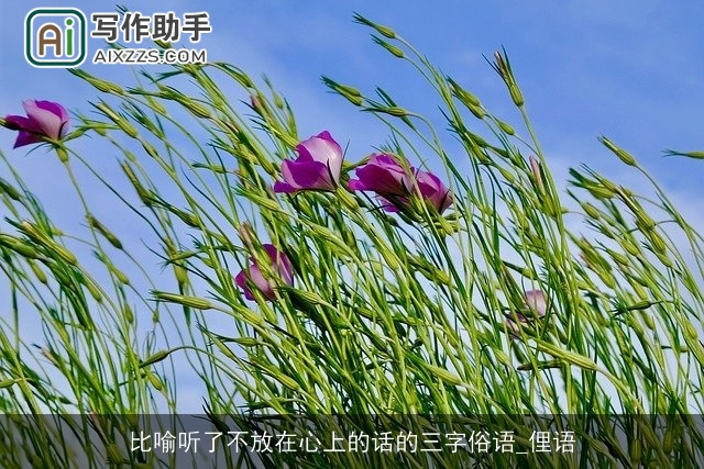 比喻听了不放在心上的话的三字俗语_俚语 比喻听了不放在心上的话的三字俗语_俚语