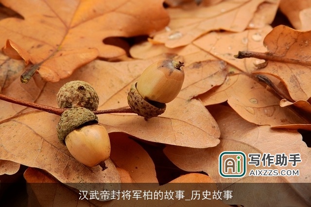 汉武帝封将军柏的故事_历史故事 汉武帝封将军柏的故事_历史故事