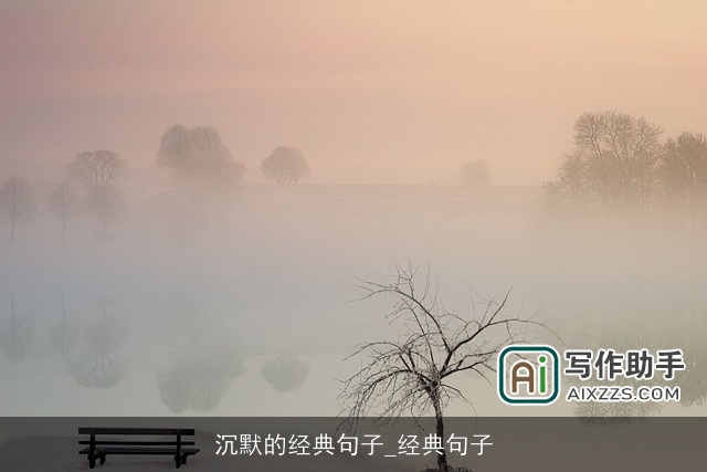 沉默的经典句子_经典句子 沉默的经典句子_经典句子