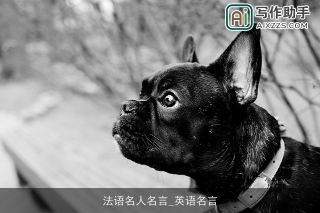 法语名人名言_英语名言 法语名人名言_英语名言