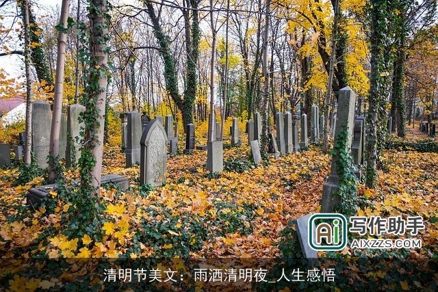 清明节美文:雨洒清明夜_人生感悟 清明节美文:雨洒清明夜_人生感悟