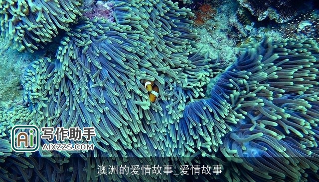 澳洲的爱情故事_爱情故事 澳洲的爱情故事_爱情故事