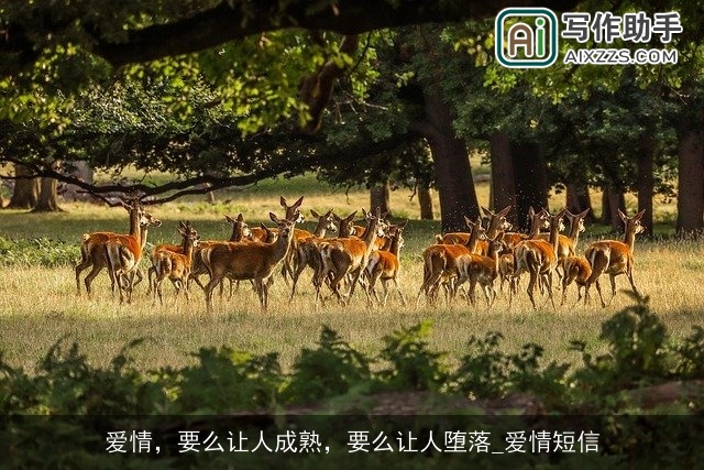 爱情,要么让人成熟,要么让人堕落_爱情短信 爱情,要么让人成熟,要么让人堕落_爱情短信