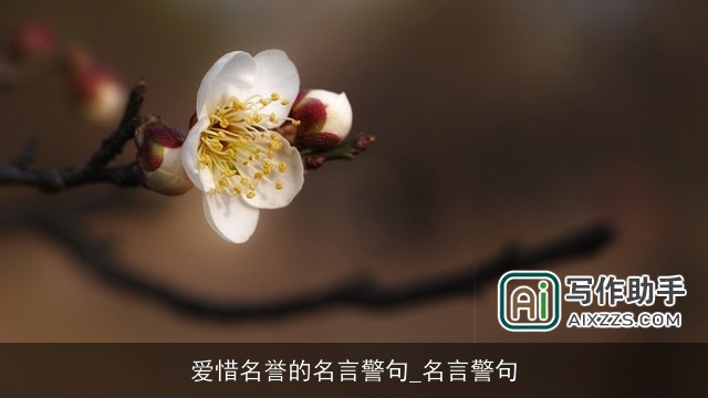 爱惜名誉的名言警句_名言警句 爱惜名誉的名言警句_名言警句