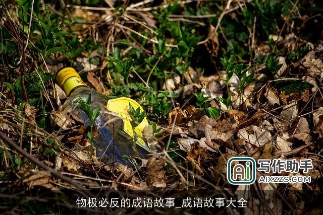 物极必反的成语故事_成语故事大全 物极必反的成语故事_成语故事大全