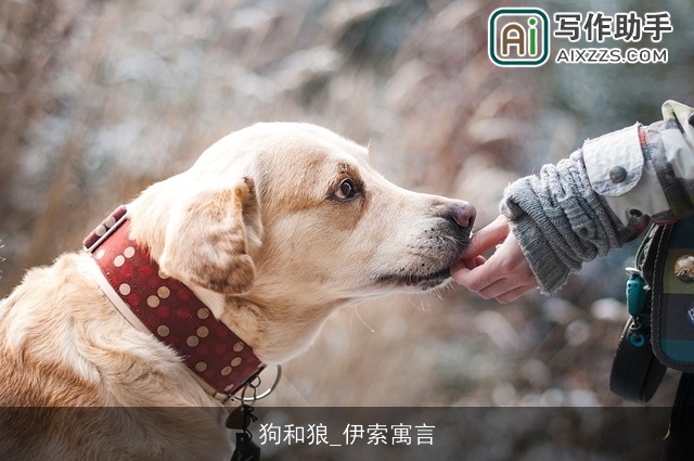 狗和狼_伊索寓言 狗和狼_伊索寓言