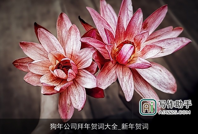 狗年公司拜年贺词大全_新年贺词 狗年公司拜年贺词大全_新年贺词