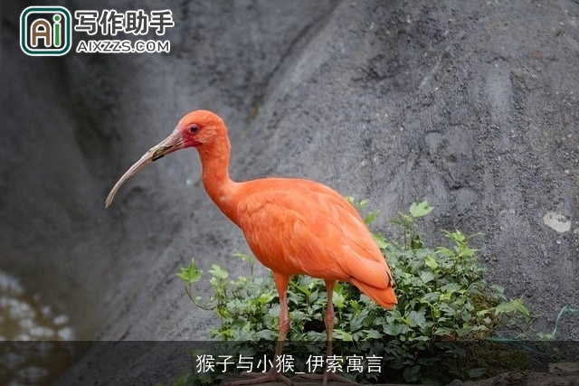 猴子与小猴_伊索寓言 猴子与小猴_伊索寓言