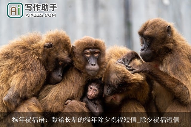 猴年祝福语:献给长辈的猴年除夕祝福短信_除夕祝福短信 猴年祝福语:献给长辈的猴年除夕祝福短信_除夕祝福短信
