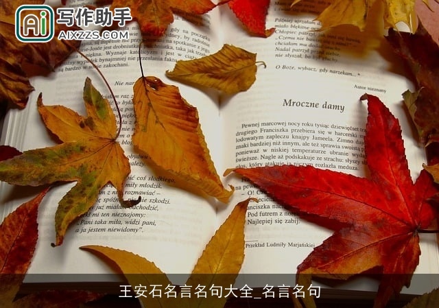 王安石名言名句大全_名言名句 王安石名言名句大全_名言名句