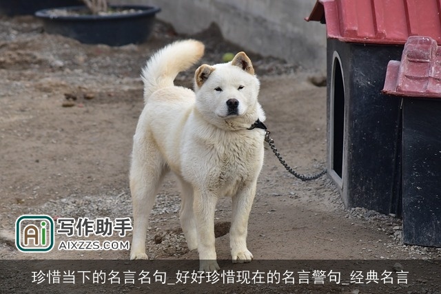 珍惜当下的名言名句_好好珍惜现在的名言警句_经典名言 珍惜当下的名言名句_好好珍惜现在的名言警句_经典名言