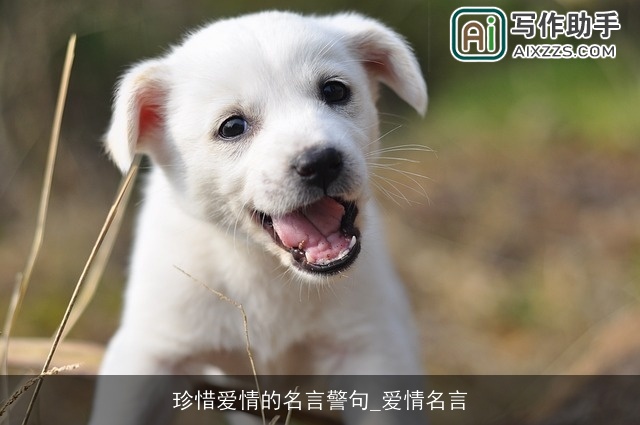 珍惜爱情的名言警句_爱情名言 珍惜爱情的名言警句_爱情名言