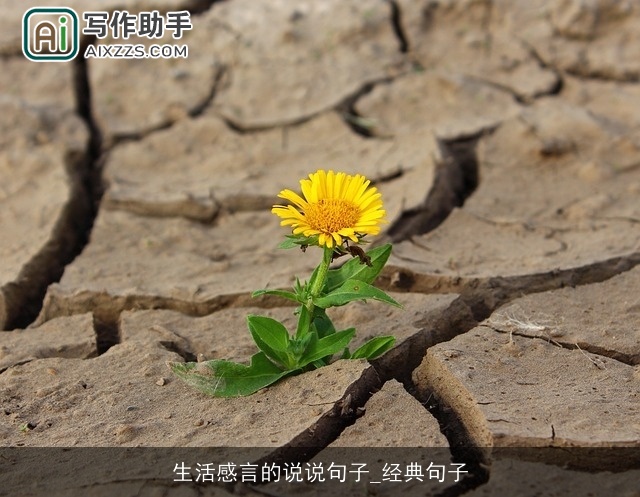 生活感言的说说句子_经典句子 生活感言的说说句子_经典句子