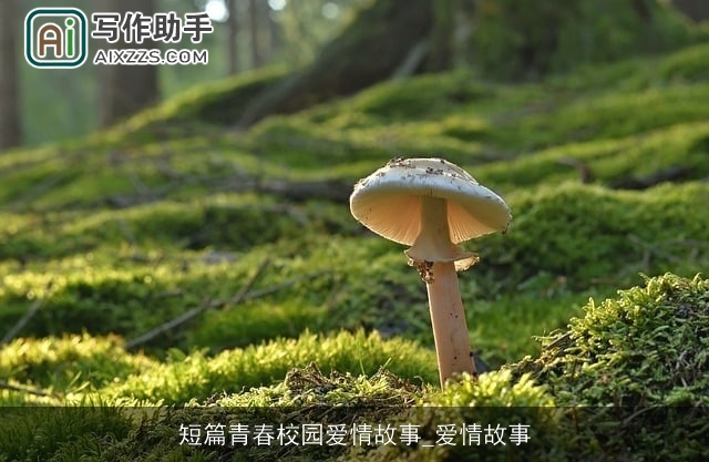 短篇青春校园爱情故事_爱情故事 短篇青春校园爱情故事_爱情故事