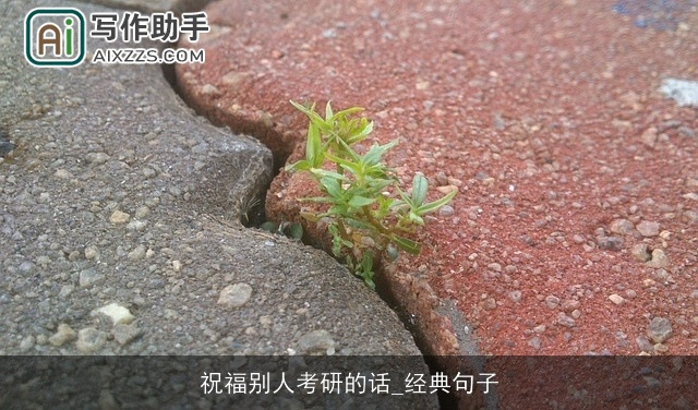 祝福别人考研的话_经典句子 祝福别人考研的话_经典句子