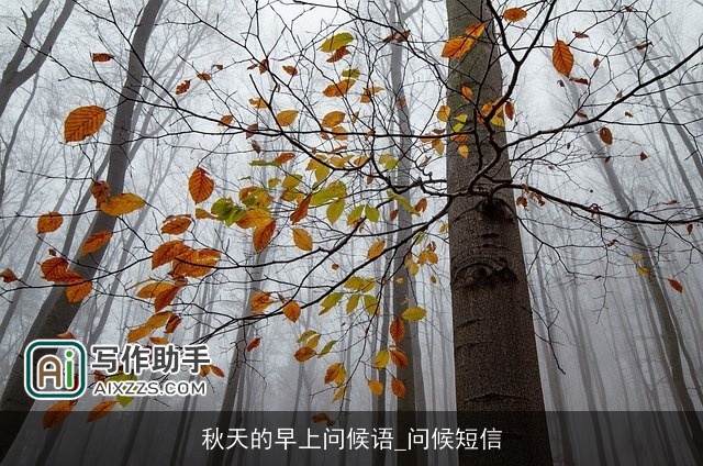 秋天的早上问候语_问候短信 秋天的早上问候语_问候短信