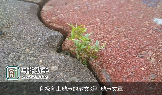 积极向上励志的散文3篇_励志文章 积极向上励志的散文3篇_励志文章