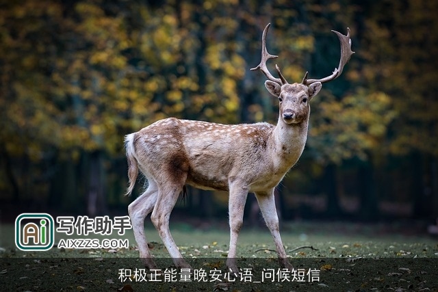 积极正能量晚安心语_问候短信 积极正能量晚安心语_问候短信