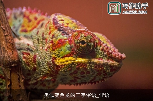 类似变色龙的三字俗语_俚语 类似变色龙的三字俗语_俚语