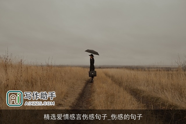 精选爱情感言伤感句子_伤感的句子 精选爱情感言伤感句子_伤感的句子