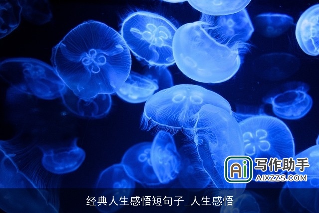 经典人生感悟短句子_人生感悟 经典人生感悟短句子_人生感悟