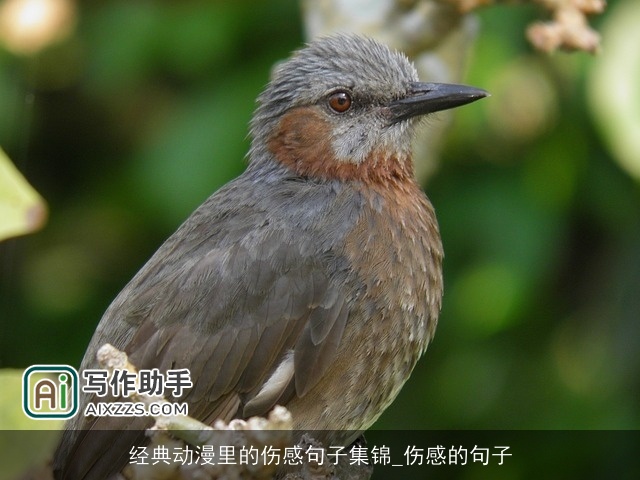 经典动漫里的伤感句子集锦_伤感的句子 经典动漫里的伤感句子集锦_伤感的句子