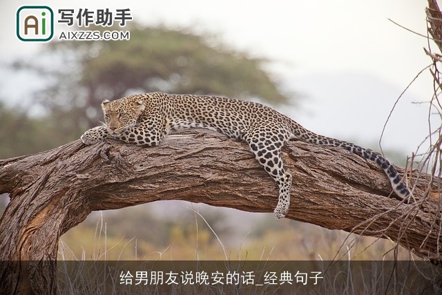 给男朋友说晚安的话_经典句子 给男朋友说晚安的话_经典句子