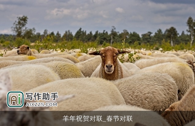 羊年祝贺对联_春节对联 羊年祝贺对联_春节对联