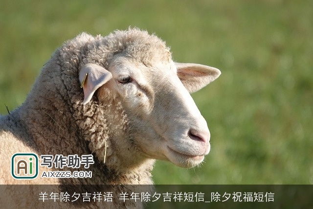 羊年除夕吉祥语 羊年除夕吉祥短信_除夕祝福短信 羊年除夕吉祥语 羊年除夕吉祥短信_除夕祝福短信