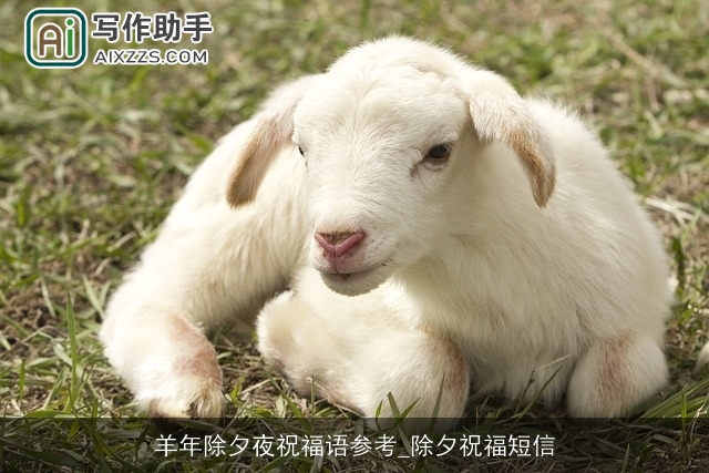 羊年除夕夜祝福语参考_除夕祝福短信 羊年除夕夜祝福语参考_除夕祝福短信