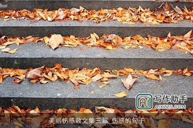 美丽伤感散文集三篇_伤感的句子 美丽伤感散文集三篇_伤感的句子