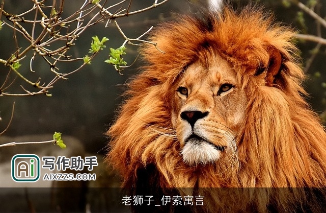 老狮子_伊索寓言 老狮子_伊索寓言