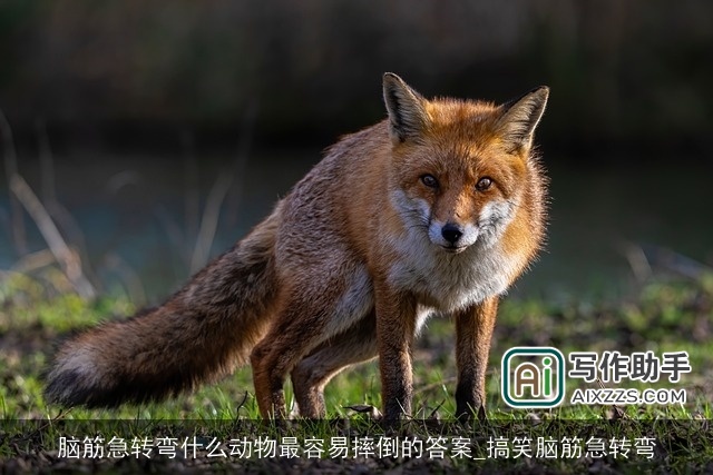 脑筋急转弯什么动物最容易摔倒的答案_搞笑脑筋急转弯 脑筋急转弯什么动物最容易摔倒的答案_搞笑脑筋急转弯