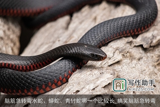 脑筋急转弯水蛇、蟒蛇、青竹蛇哪一个比较长_搞笑脑筋急转弯 脑筋急转弯水蛇、蟒蛇、青竹蛇哪一个比较长_搞笑脑筋急转弯