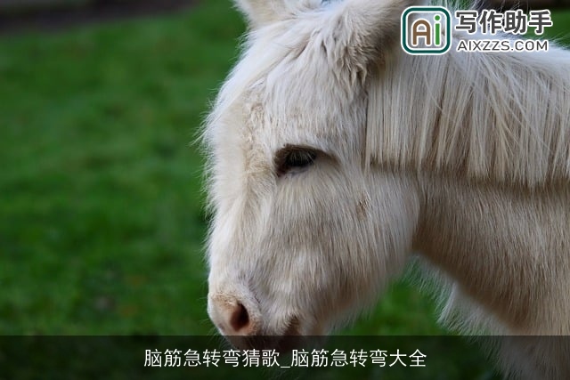 脑筋急转弯猜歌_脑筋急转弯大全 脑筋急转弯猜歌_脑筋急转弯大全