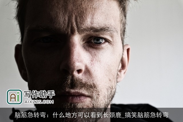 脑筋急转弯:什么地方可以看到长颈鹿_搞笑脑筋急转弯 脑筋急转弯:什么地方可以看到长颈鹿_搞笑脑筋急转弯