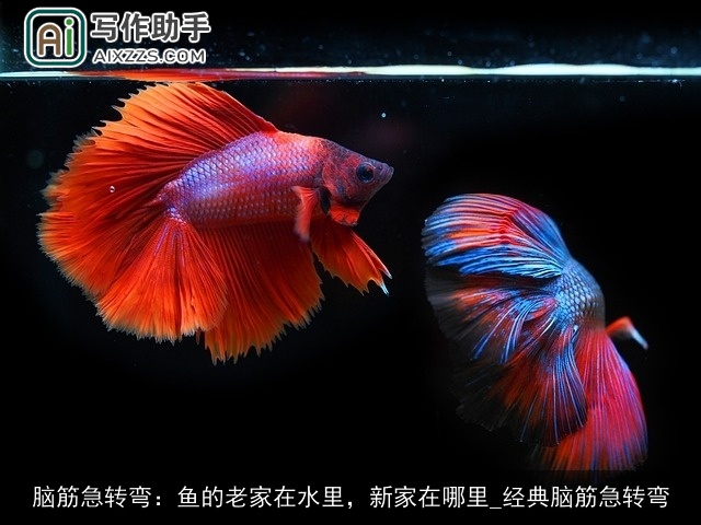 脑筋急转弯:鱼的老家在水里,新家在哪里_经典脑筋急转弯 脑筋急转弯:鱼的老家在水里,新家在哪里_经典脑筋急转弯