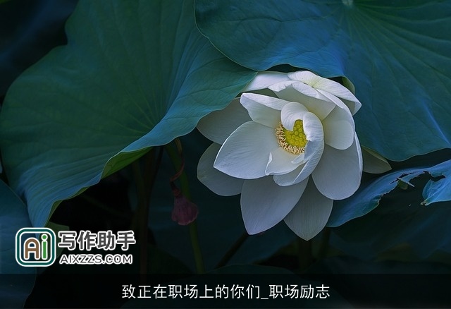 致正在职场上的你们_职场励志 致正在职场上的你们_职场励志