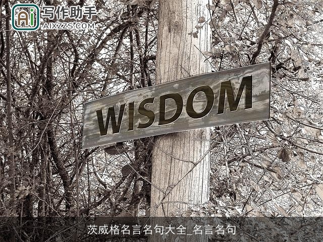 茨威格名言名句大全_名言名句 茨威格名言名句大全_名言名句