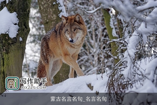 蒙古名言名句_名言名句 蒙古名言名句_名言名句