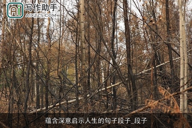 蕴含深意启示人生的句子段子_段子 蕴含深意启示人生的句子段子_段子