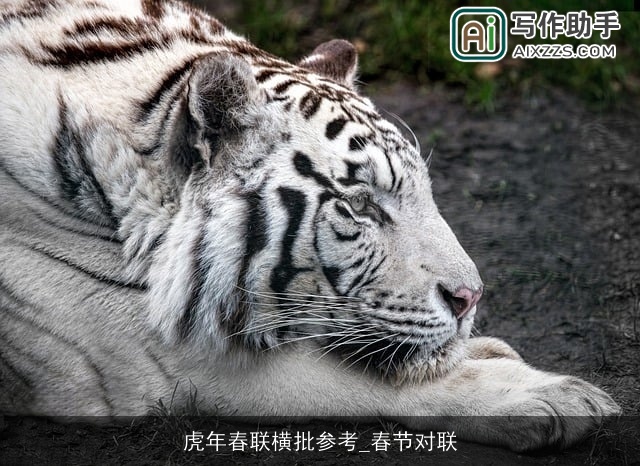 虎年春联横批参考_春节对联 虎年春联横批参考_春节对联