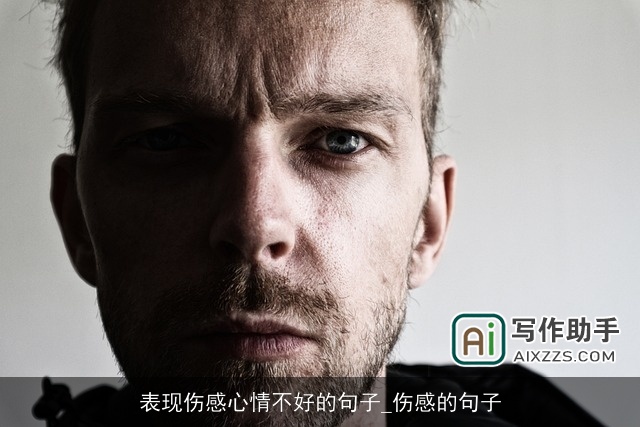表现伤感心情不好的句子_伤感的句子 表现伤感心情不好的句子_伤感的句子