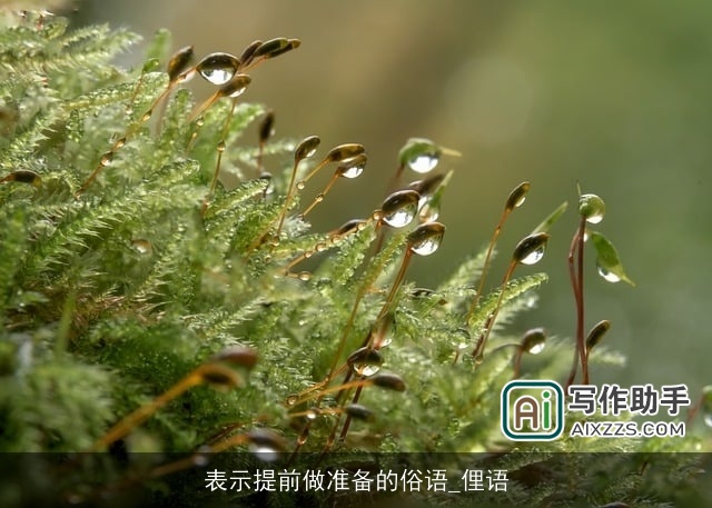 表示提前做准备的俗语_俚语 表示提前做准备的俗语_俚语