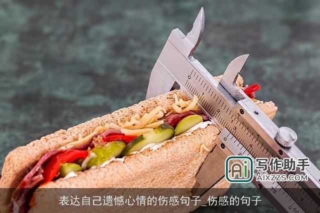 表达自己遗憾心情的伤感句子_伤感的句子 表达自己遗憾心情的伤感句子_伤感的句子