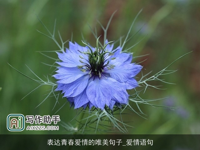 表达青春爱情的唯美句子_爱情语句 表达青春爱情的唯美句子_爱情语句