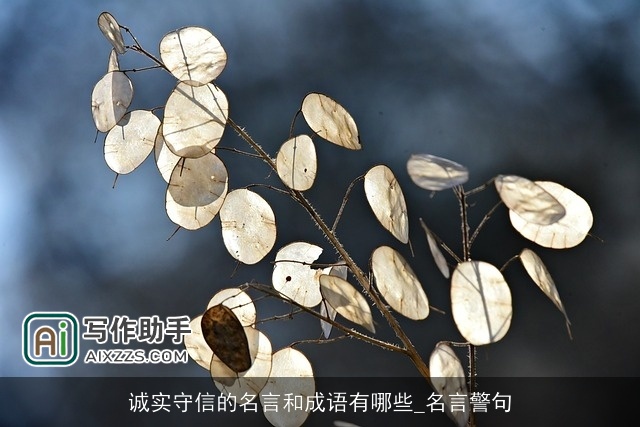 诚实守信的名言和成语有哪些_名言警句 诚实守信的名言和成语有哪些_名言警句