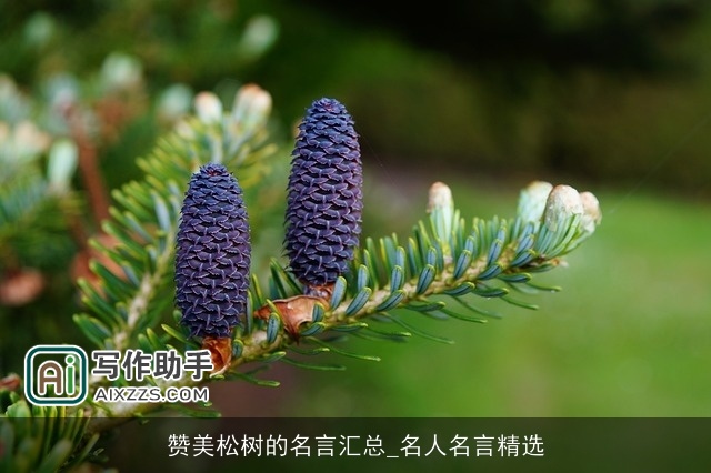 赞美松树的名言汇总_名人名言精选 赞美松树的名言汇总_名人名言精选